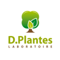 Dplantes CPA